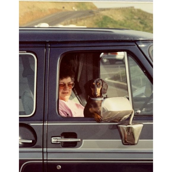 Dachsund Dog with Owner in Van Window Found Photo Snapshot 1994 Travel Picture - Picture 2 of 4
